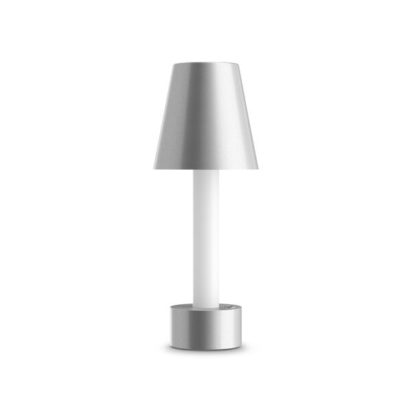 Декоративная настольная лампа Maytoni Tet-A-Tet MOD104TL-3AGR3K, арматура серебро, плафон металл серебристый