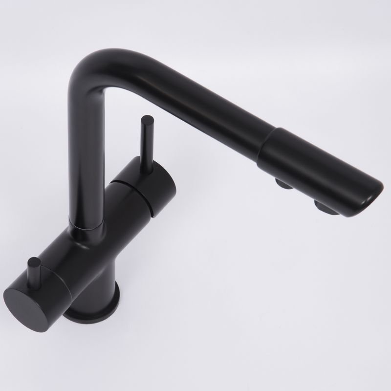 Смеситель WasserKRAFT A8367 для кухни, под фильтр, цвет черный - фото 1