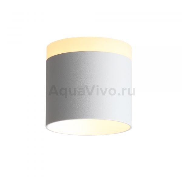Потолочный светильник ST Luce Panaggio ST102.502.09, арматура металл, цвет белый, плафон акрил, металл, цвет белый