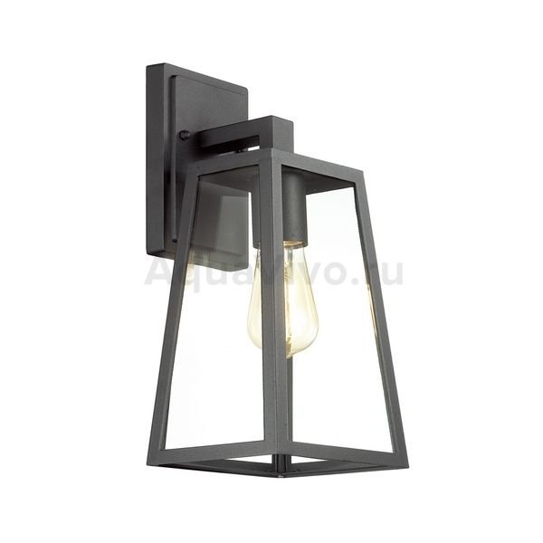 Уличный настенный светильник Odeon Light Clod 4169/1W, арматура черная, плафон стекло прозрачное, 19х35 см