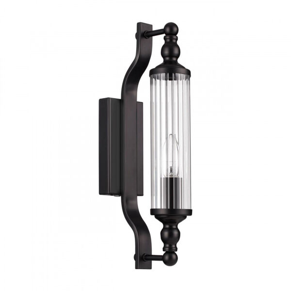 Настенный светильник Odeon Light Tolero 4941/1W, арматура черная, плафон стекло прозрачное