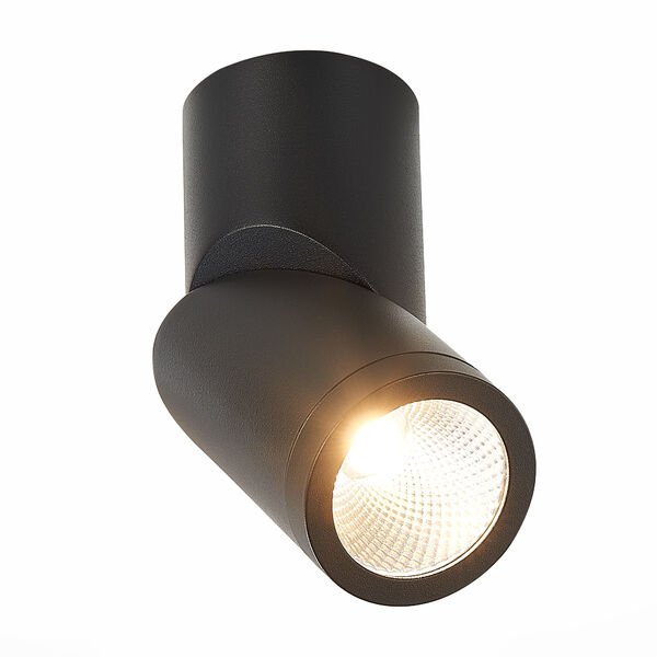 Потолочный светильник ST Luce ST650 ST650.432.10, арматура черная, плафон металл черный