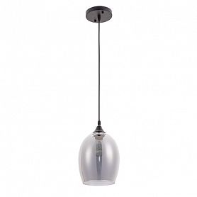 Подвесной светильник Arte Lamp Propus A4344SP-1BK, арматура черная, плафон стекло дымчатое, 17х17 см - фото 1
