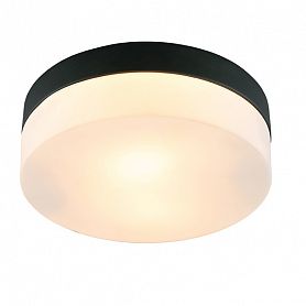 Потолочный светильник Arte Lamp Aqua-Tablet A6047PL-2BK, арматура черная, плафоны стекло белое, 24х24 см - фото 1