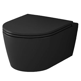 Унитаз AM.PM Func FlashClean C8F1700MBSC подвесной, безободковый, с сиденьем микролифт, цвет черный матовый - фото 1