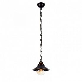 Подвесной светильник Arte Lamp Grazioso A4577SP-1CK, арматура коричневая / золото, плафоны стекло прозрачное, 21х21 см - фото 1