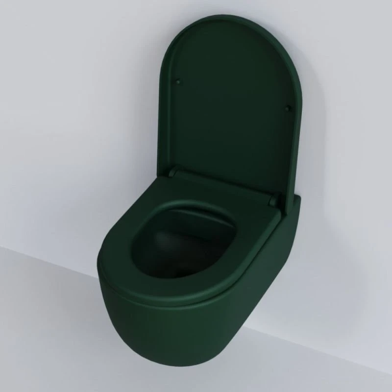 Сиденье Ambassador Abner 102T20701 для унитаза, с микролифтом, цвет зеленый матовый - фото 1