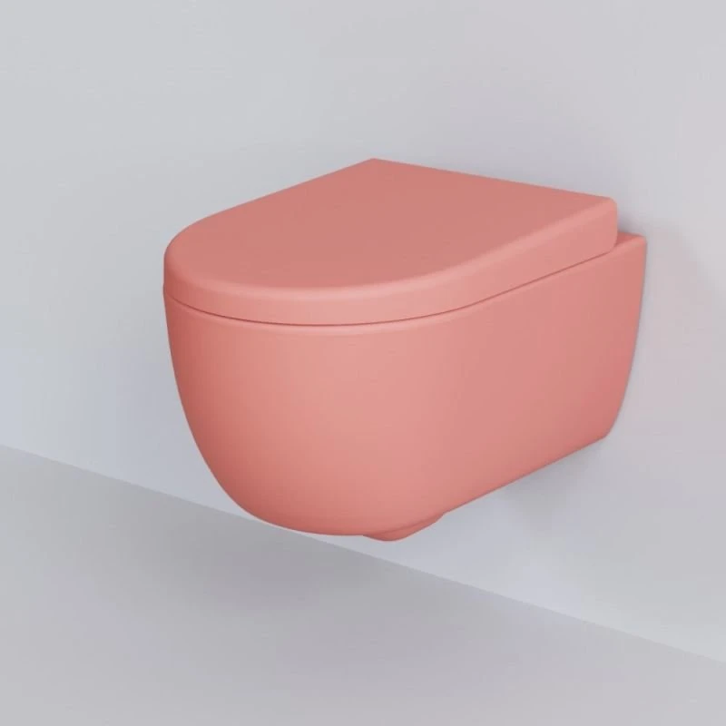 Сиденье Ambassador Abner 102T20901 для унитаза, с микролифтом, цвет розовый матовый - фото 1