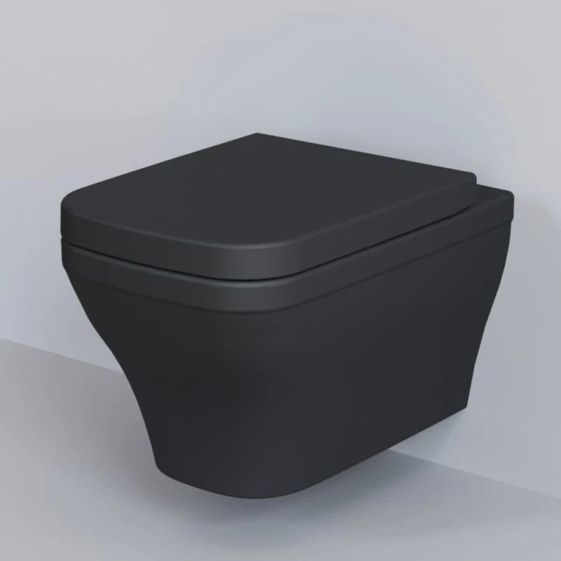 Сиденье Ambassador Benefit 202T20201 для унитаза, с микролифтом, цвет черный матовый - фото 1