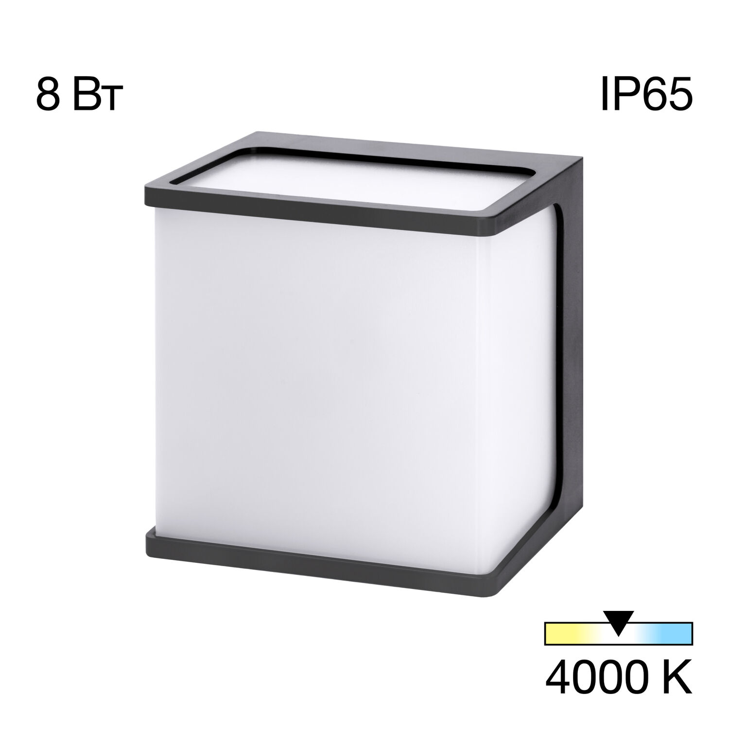 Уличный настенный светильник Citilux Domus CLU0801, арматура черная