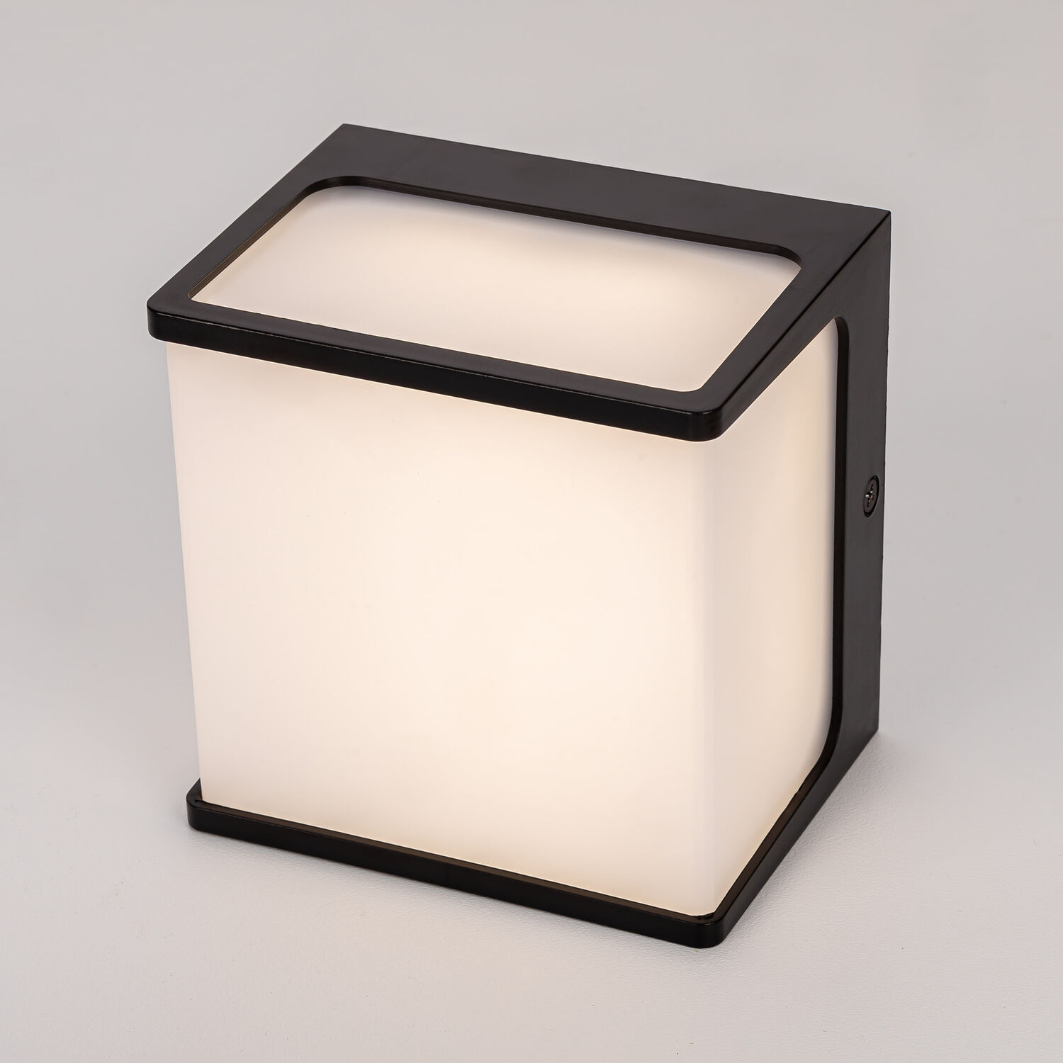 Уличный настенный светильник Citilux Domus CLU0801, арматура черная - фото 1