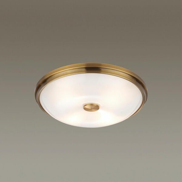 Настенно-потолочный светильник Odeon Light Pelow 4956/4, арматура бронза, плафон стекло белое