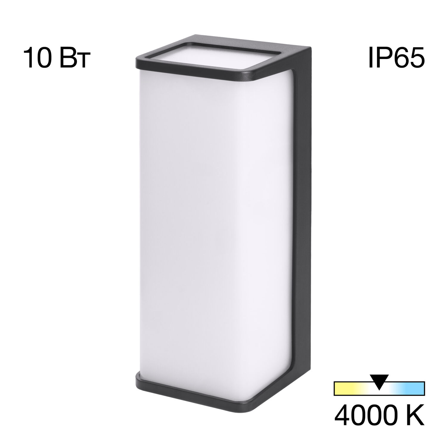 Уличный настенный светильник Citilux Domus CLU0802, арматура черная