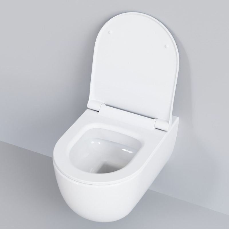 Унитаз Ambassador Abner 103T20101R-102T20101S подвесной, безободковый, с сиденьем микролифт, цвет белый матовый - фото 1