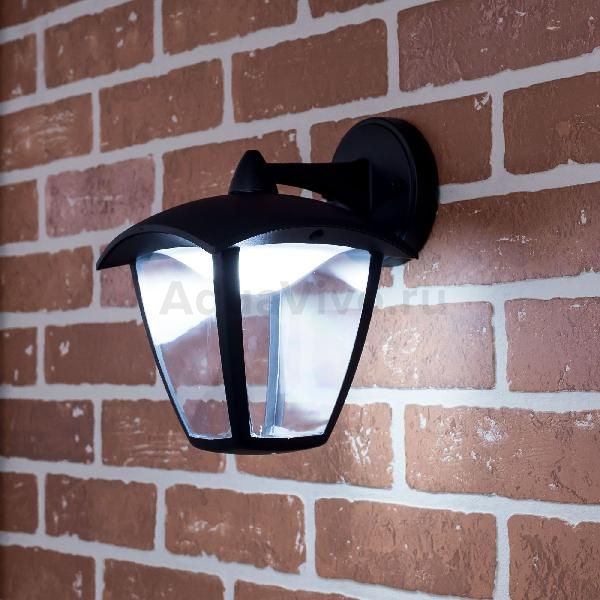 Настенный уличный фонарь Citilux CLU04W2, арматура черная, плафон/абажур стекло/металл, цвет прозрачный/черный