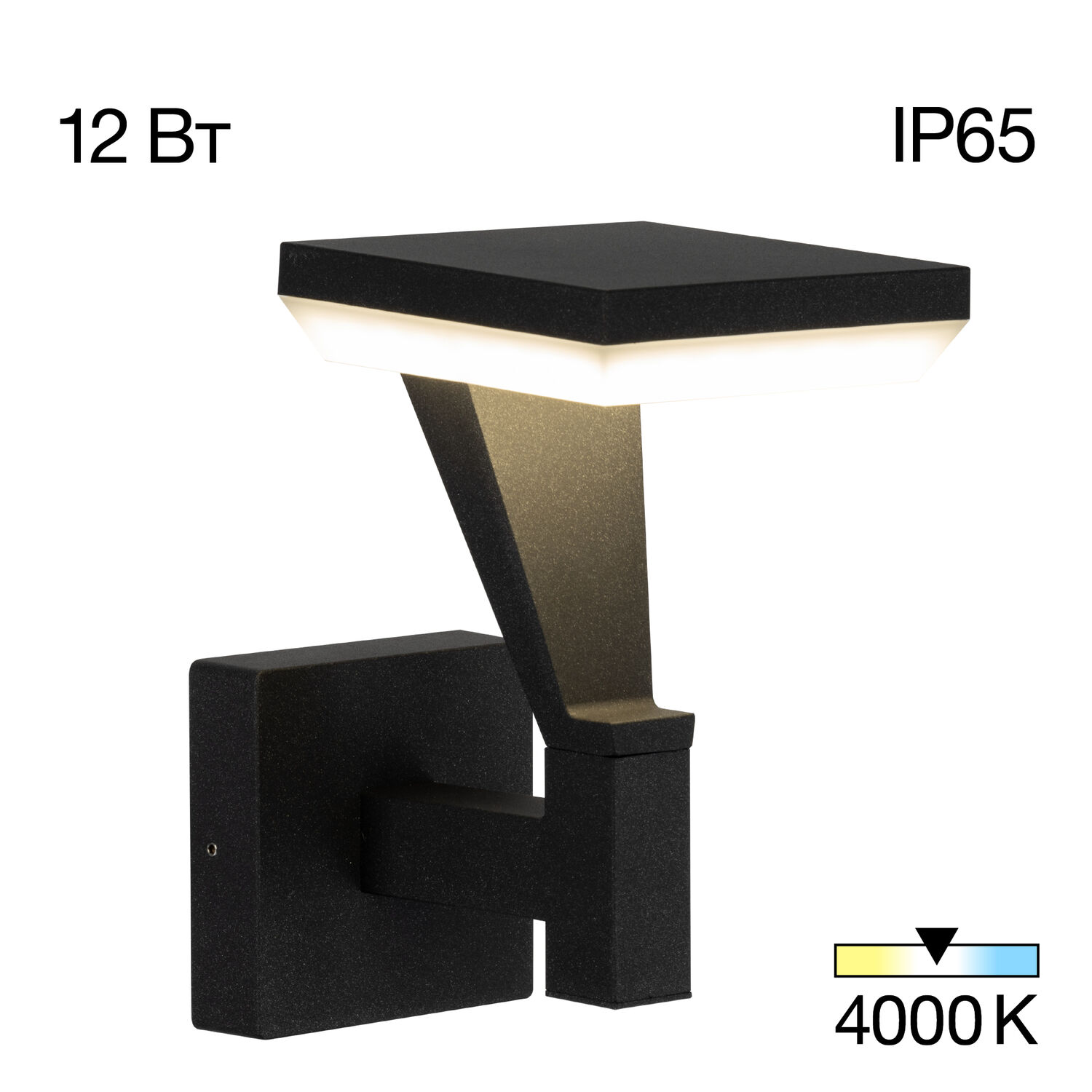 Уличный настенный светильник Citilux Krid CLU06W, арматура графит