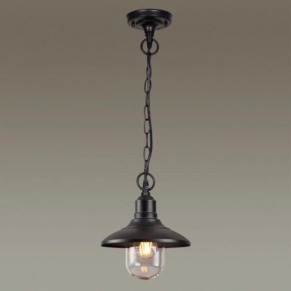 Уличный подвесной светильник Odeon Light Campa 4965/1, арматура черная, плафон стекло прозрачное - фото 1
