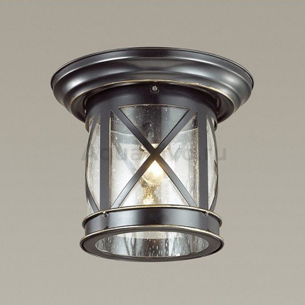 Уличный потолочный светильник Odeon Light Sation 4045/1C, арматура черно-золотая, плафон стекло прозрачное, 25х20 см