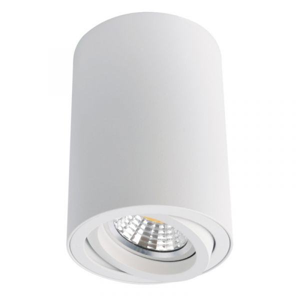 Точечный светильник Arte Lamp Sentry A1560PL-1WH, арматура цвет белый, плафон/абажур металл, цвет белый