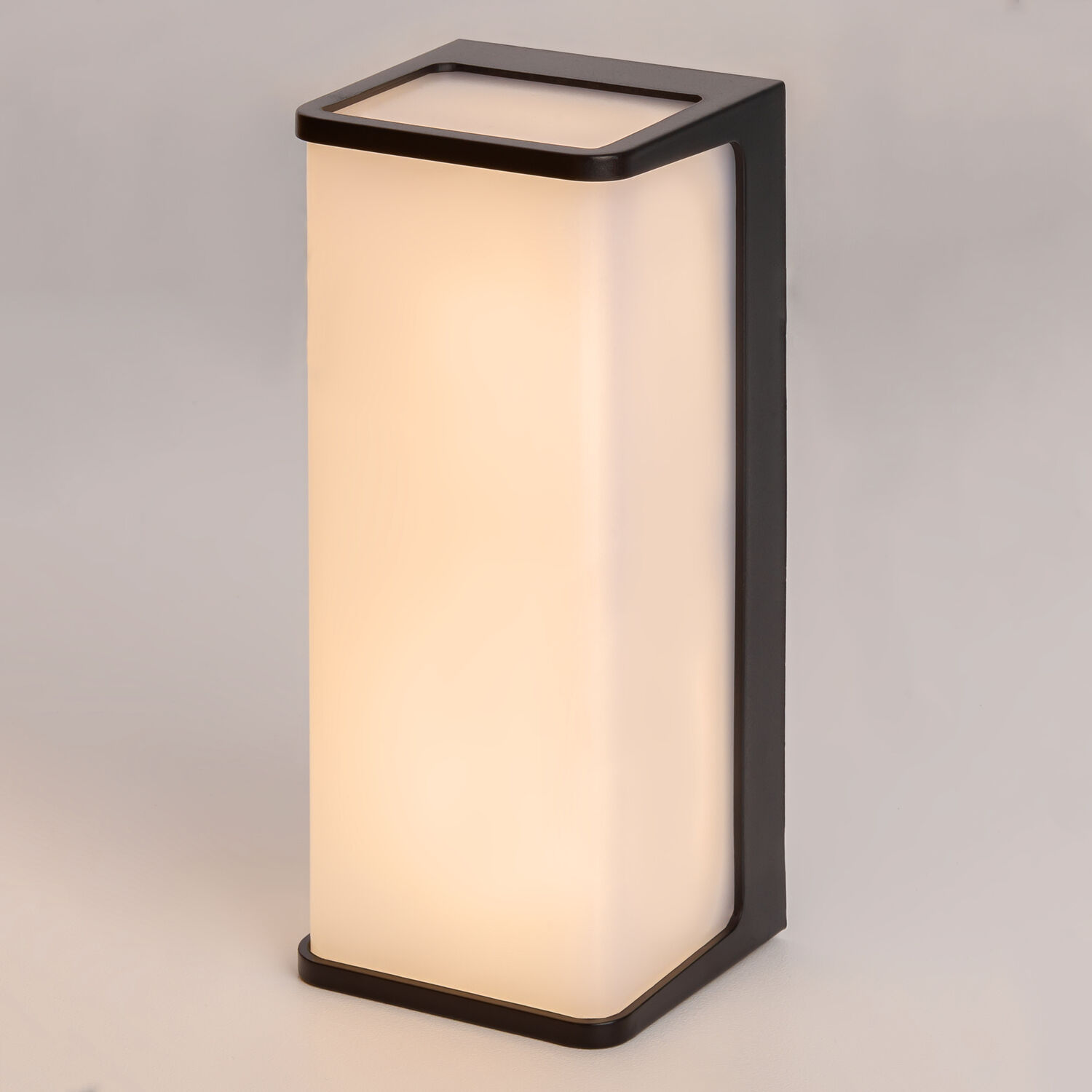 Уличный настенный светильник Citilux Domus CLU0802, арматура черная - фото 1