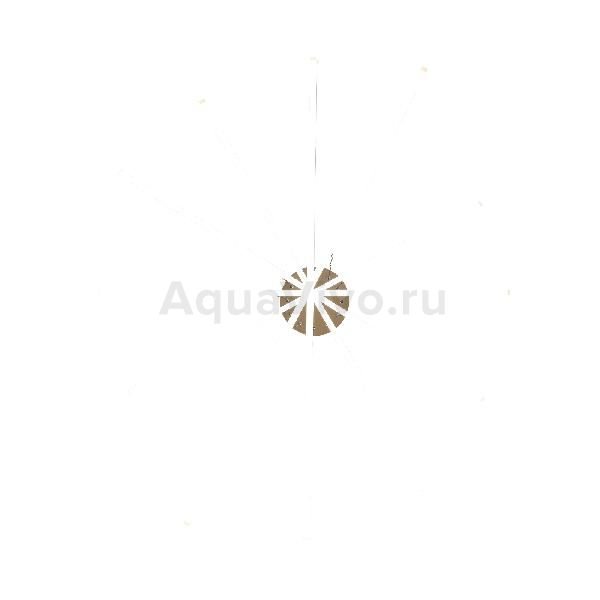 Подвесной светильник ST Luce Basoni SL394.223.06, арматура металл, цвет золото, плафон акрил, цвет белый - фото 1
