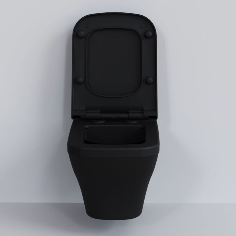 Унитаз Ambassador Benefit 203T20201R-202T20201S подвесной, безободковый, с сиденьем микролифт, цвет черный матовый - фото 1
