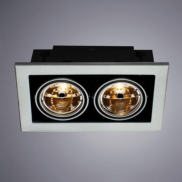 Точечный светильник Arte Lamp Cardani Medio A5930PL-2SI, арматура серебро, 25х15 см