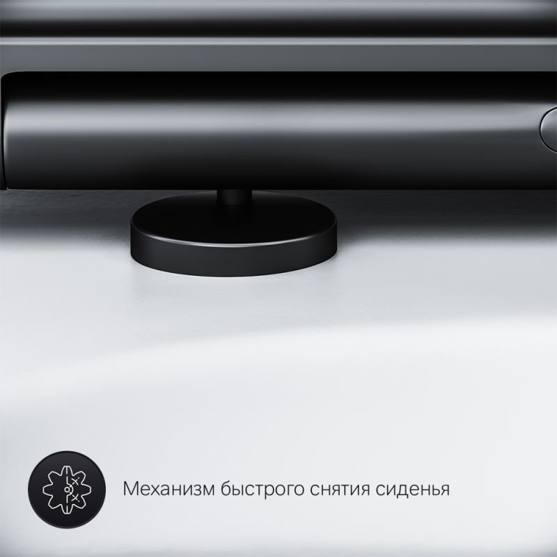 Унитаз AM.PM Gem C901700SCmb подвесной, безободковый, с сиденьем микролифт, цвет белый / черный