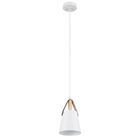 Подвесной светильник Arte Lamp Thomas A7032SP-1WH, арматура белый, плафон металл белый - фото 1