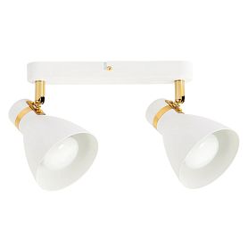 Спот Arte Lamp Fafnir A5047PL-2WH, арматура белая, плафон металл белый - фото 1