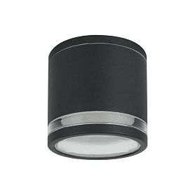 Фасадный светильник Arte Lamp Nunki A1910PF-1BK, арматура черная, плафон пластик прозрачный - фото 1