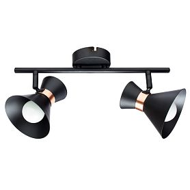 Спот Arte Lamp Baltimore A1406AP-2BK, арматура черный, плафон металл черный - фото 1