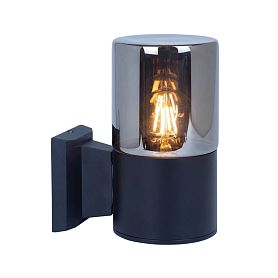 Уличный настенный светильник Arte Lamp Wazn A6218AL-1BK, арматура черная, плафон стекло дымчатое - фото 1