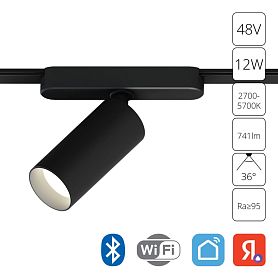 Магнитный трековый светильник Arte Lamp Rapid A2958PL-1BK, арматура черный  - фото 1