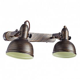 Спот Arte Lamp Martin A5213AP-2BR, арматура коричневая / золото, плафоны металл коричневый / золото, 36х11 см - фото 1