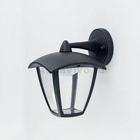 Настенный уличный фонарь Citilux CLU04W2, арматура черная, плафон/абажур стекло/металл, цвет прозрачный/черный - фото 1
