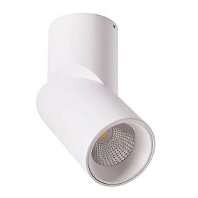 Спот Arte Lamp Meisu A7717PL-1WH, арматура белая, плафон металл белый - фото 1