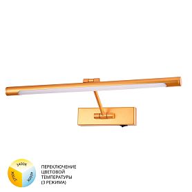 Подсветка для картин Arte Lamp Harrison A1709AP-1GO, арматура золото, плафон металл золото - фото 1