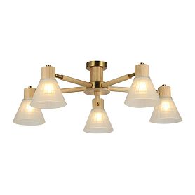 Потолочная люстра Arte Lamp Meleph A4096PL-5BR, арматура коричневая, плафон стекло белое - фото 1