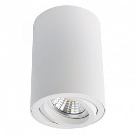 Точечный светильник Arte Lamp Sentry A1560PL-1WH, арматура цвет белый, плафон/абажур металл, цвет белый - фото 1