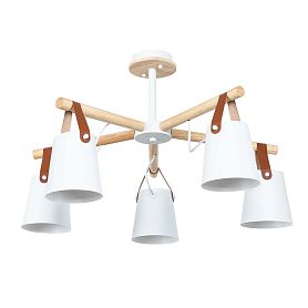 Потолочная люстра Arte Lamp Thomas A7032PL-5WH, арматура белый, плафон металл белый - фото 1