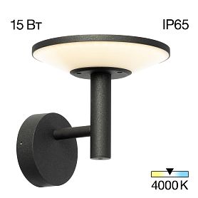 Уличный настенный светильник Citilux Dorn CLU05W, арматура графит - фото 1