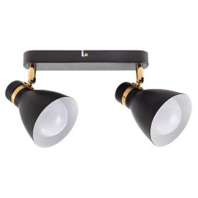 Спот Arte Lamp Fafnir A5047PL-2BK, арматура черная, плафон металл черный - фото 1