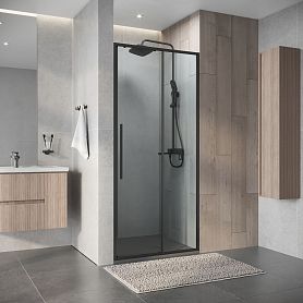Душевая дверь Niagara Nova NG-34-10AGR 100x195, стекло прозрачное, профиль графит - фото 1