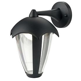 Уличный настенный светильник Arte Lamp Henry A1661AL-1BK, арматура черная, плафон пластик прозрачный - фото 1