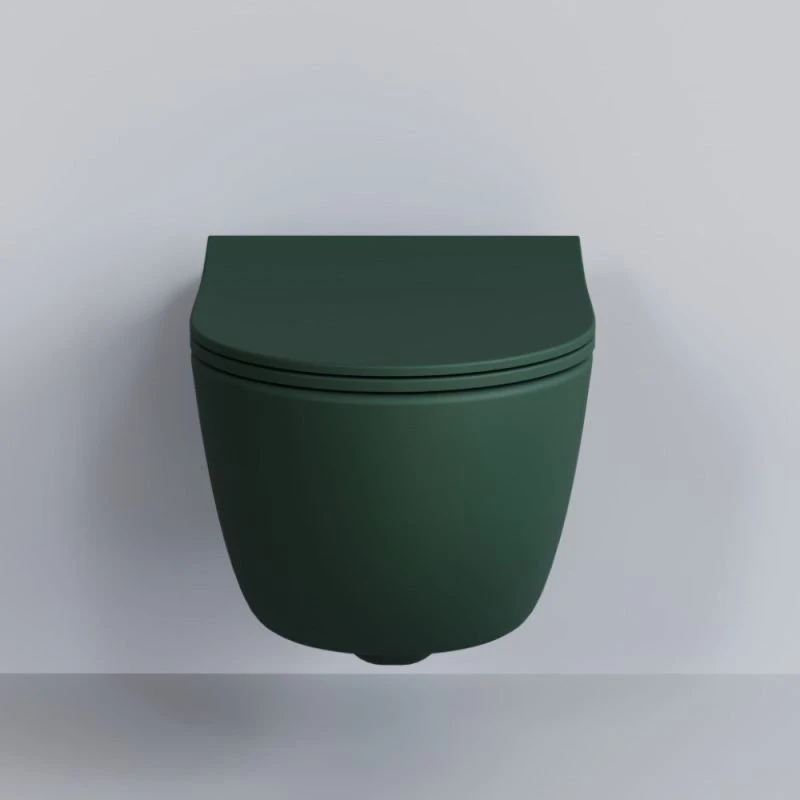 Сиденье Ambassador Abner 102T20701S для унитаза, с микролифтом, цвет зеленый матовый - фото 1
