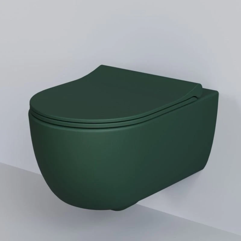 Сиденье Ambassador Abner 102T20701S для унитаза, с микролифтом, цвет зеленый матовый - фото 1
